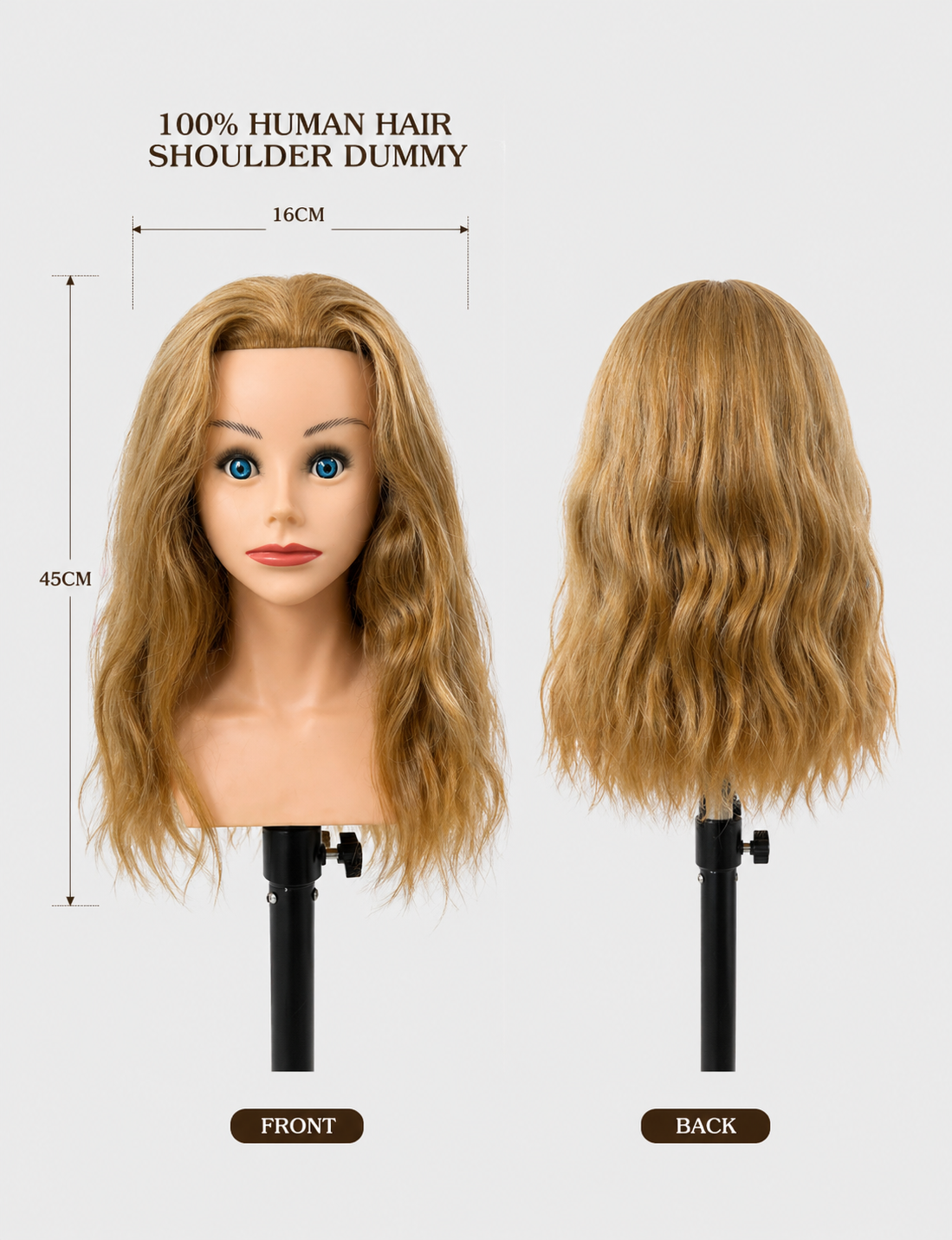 100 Percent Human Hair Shoulder Dummy