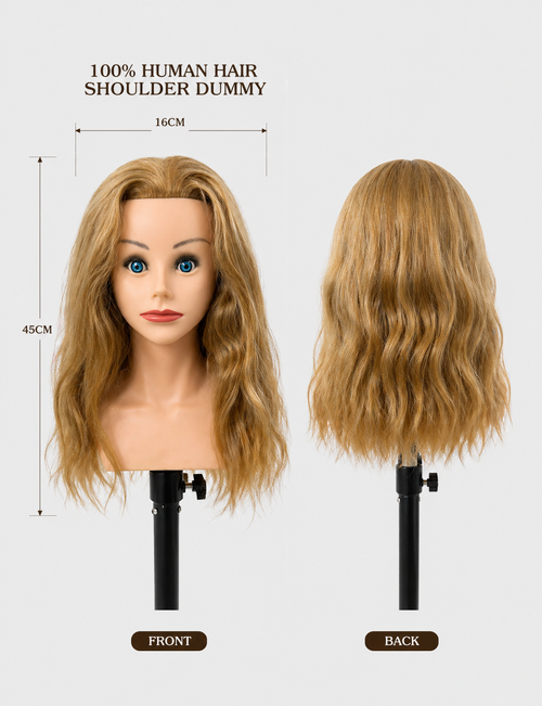 100 Percent Human Hair Shoulder Dummy
