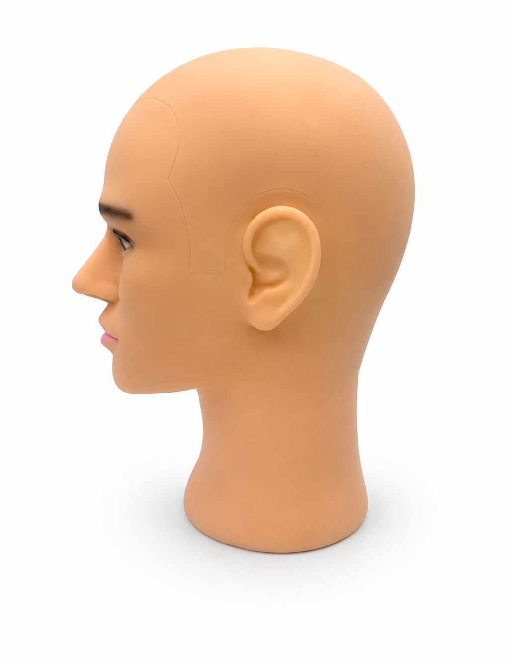 Men Bald Dummy