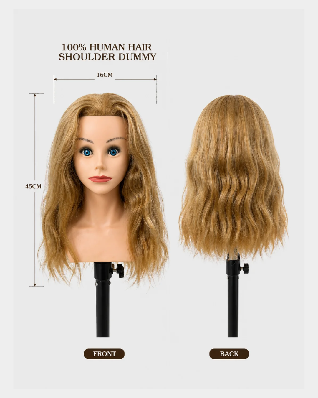 100 Percent Human Hair Shoulder Dummy.