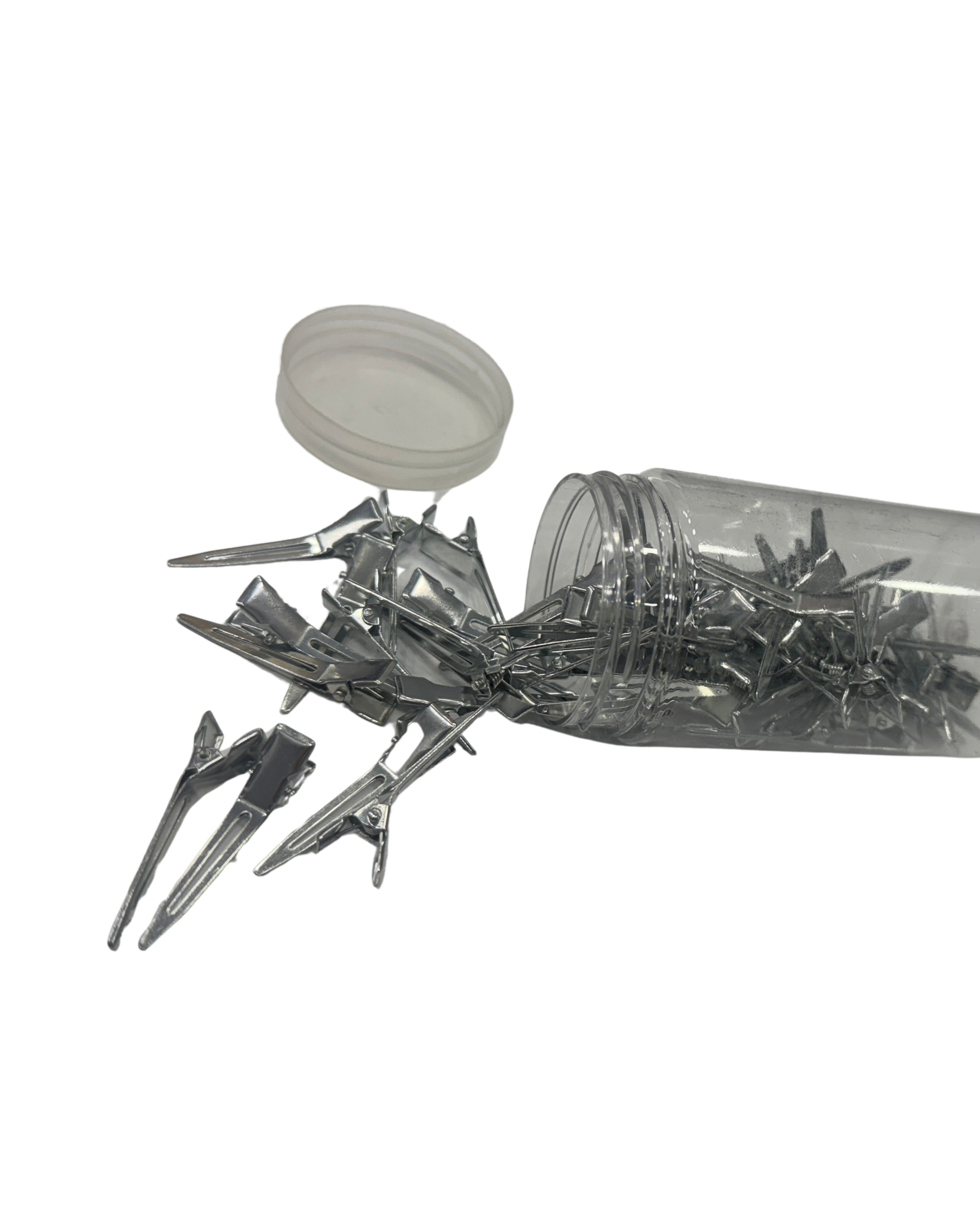 Small Steel Clips