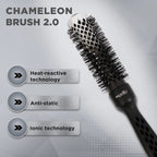 Chameleon 2.0