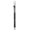Blush Brush