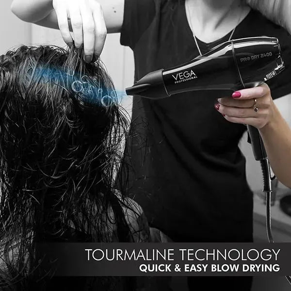 VEGA Pro Dry 2400 Hair Dryer