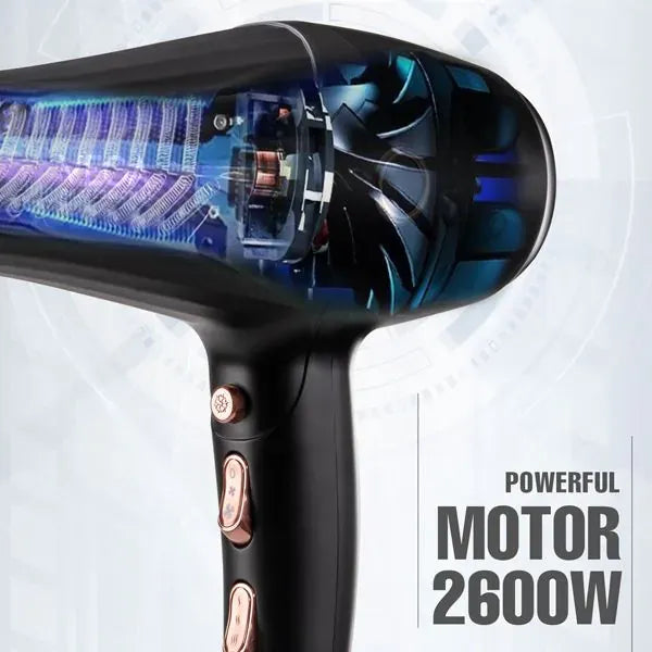 VEGA Pro Dry 2600 Hair Dryer