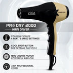 VEGA Pro Dry 2000 Gold Hair Dryer
