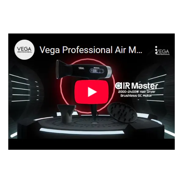VEGA Air Master Hair Dryer