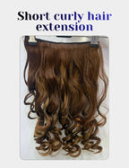 Short Curly Hair Extension